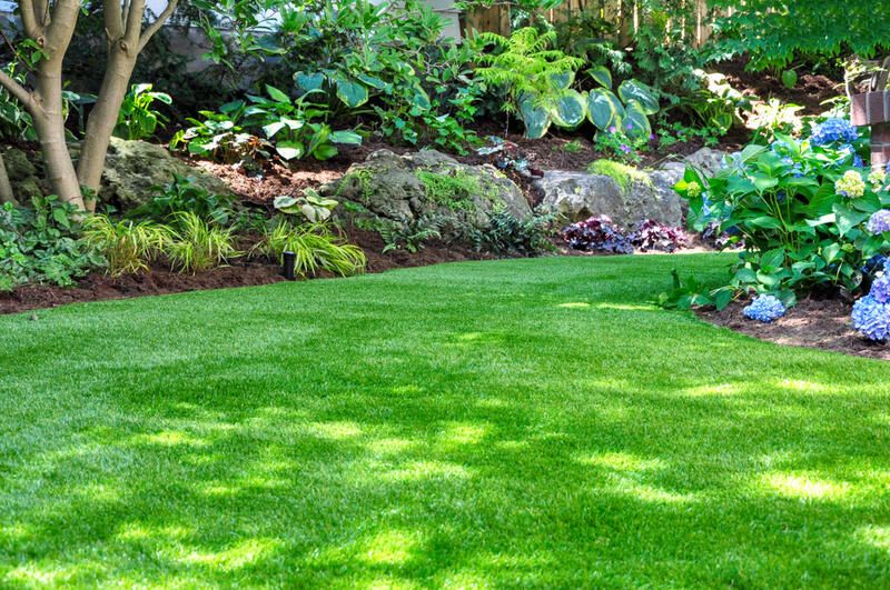 No sun? No problem! Check Out The Best Shade Garden Ideas - Shrubhub