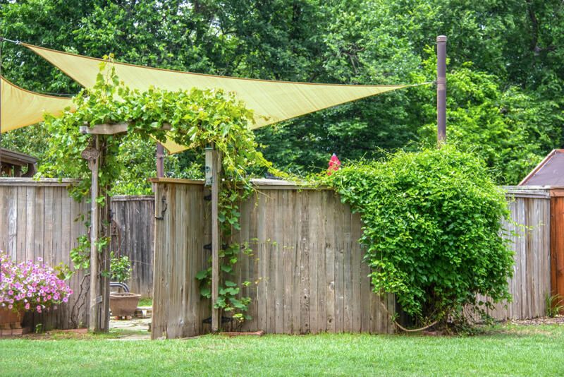 No sun? No problem! Check Out The Best Shade Garden Ideas - Shrubhub