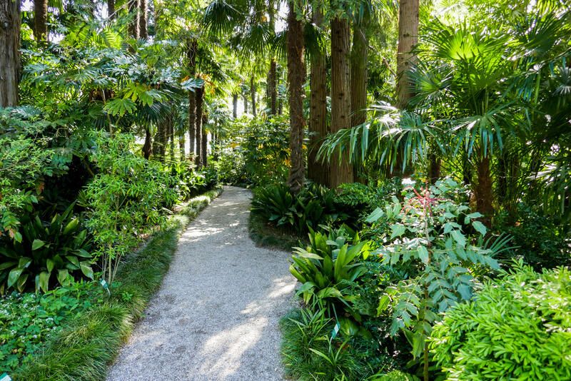 No sun? No problem! Check Out The Best Shade Garden Ideas - Shrubhub