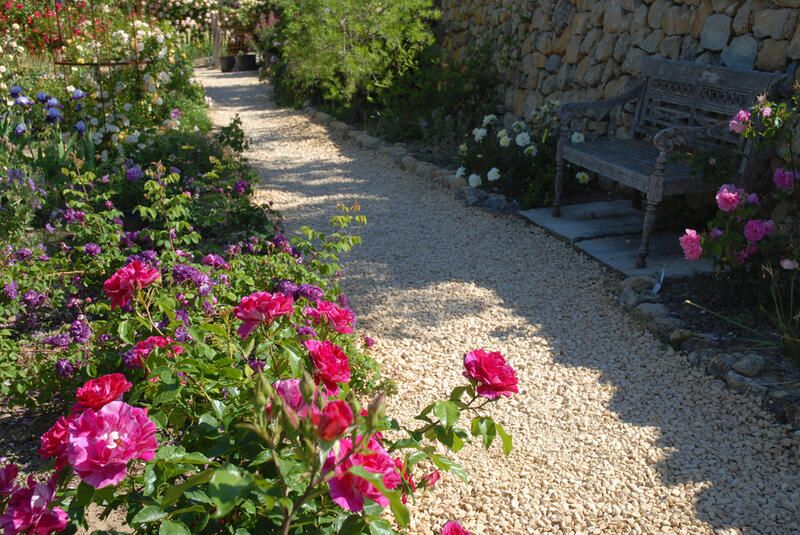 No sun? No problem! Check Out The Best Shade Garden Ideas - Shrubhub
