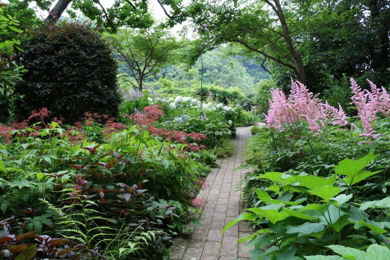 No sun? No problem! Check Out The Best Shade Garden Ideas - Shrubhub