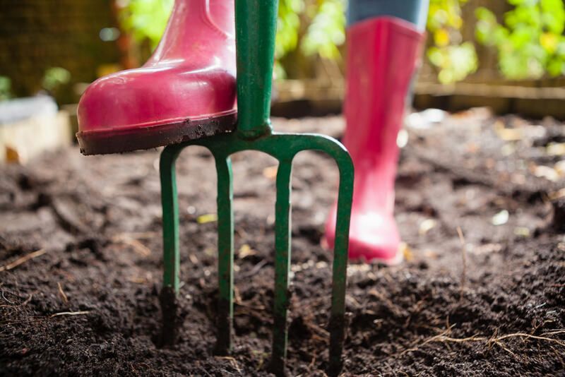 Gardening Tools Guide: The Essential Gardening Tools - Shrubhub