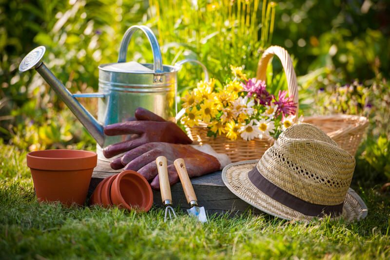 Gardening Tools Guide: The Essential Gardening Tools