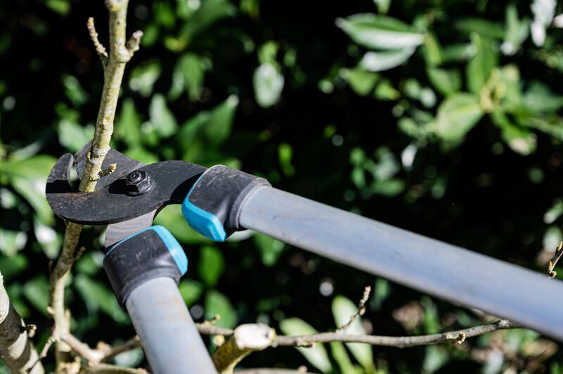 Gardening Tools Guide: The Essential Gardening Tools - Shrubhub