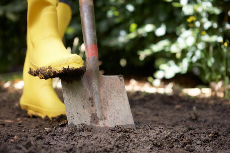 Gardening Tools Guide: The Essential Gardening Tools - Shrubhub