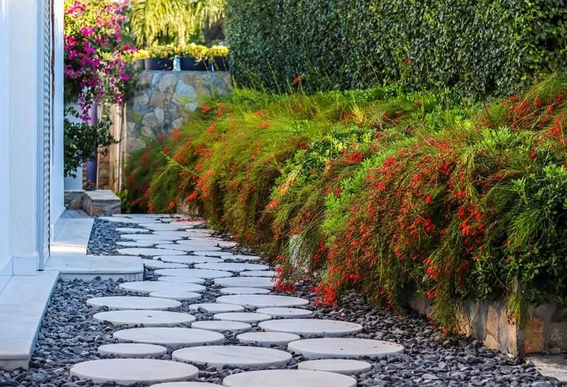 Hillside Landscaping Ideas For Beginners - Shrubhub