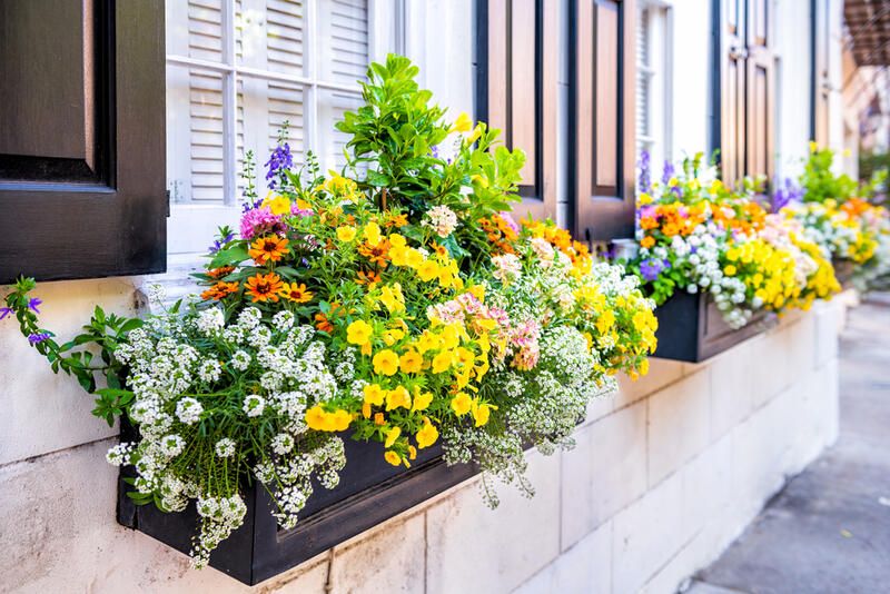 11 Unique Fall Window Box Ideas To Brighten Your Home This Season - Shrubhub