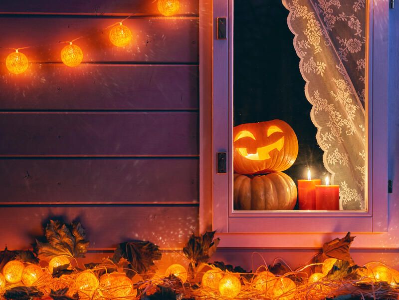 11 Unique Fall Window Box Ideas To Brighten Your Home This Season - Shrubhub