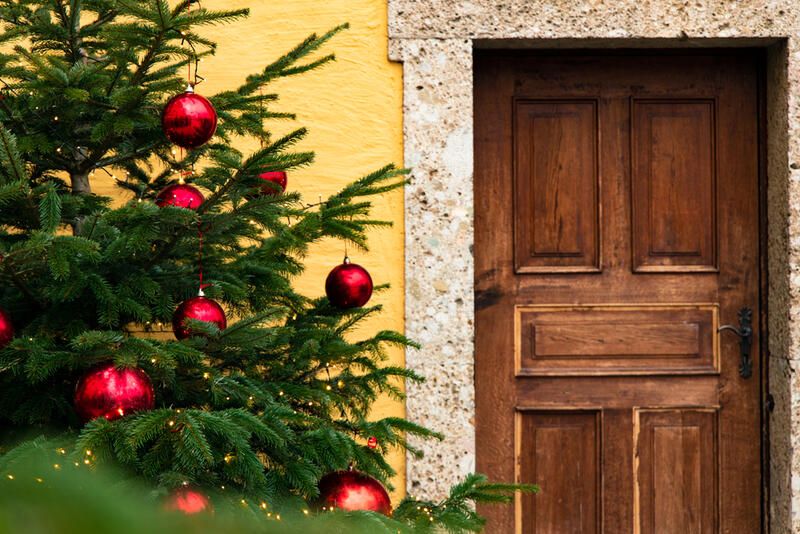 Potted Christmas Tree Care: Here’s What to Know - Shrubhub