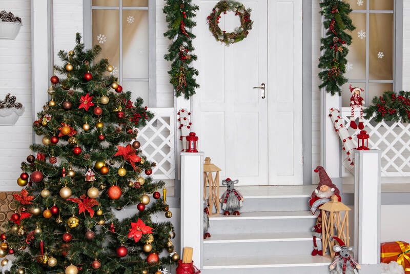 Potted Christmas Tree Care: Here’s What to Know - Shrubhub