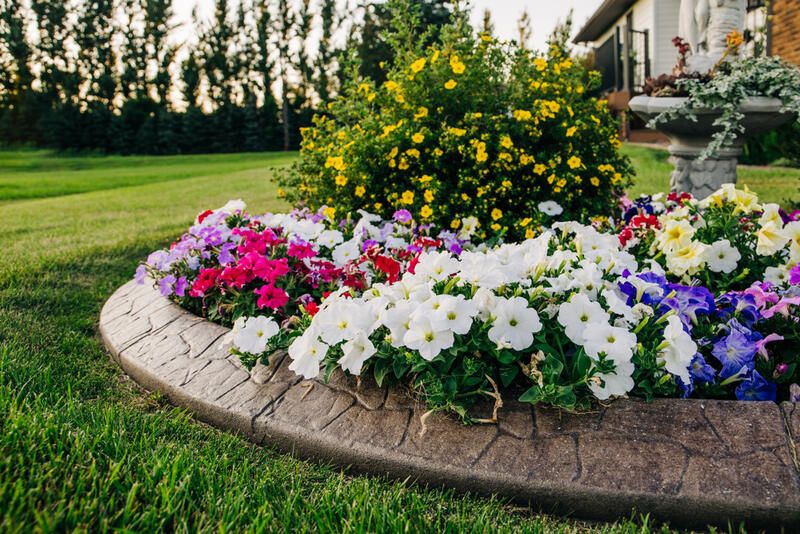Your One-For-All Curb Appeal Guide - Shrubhub