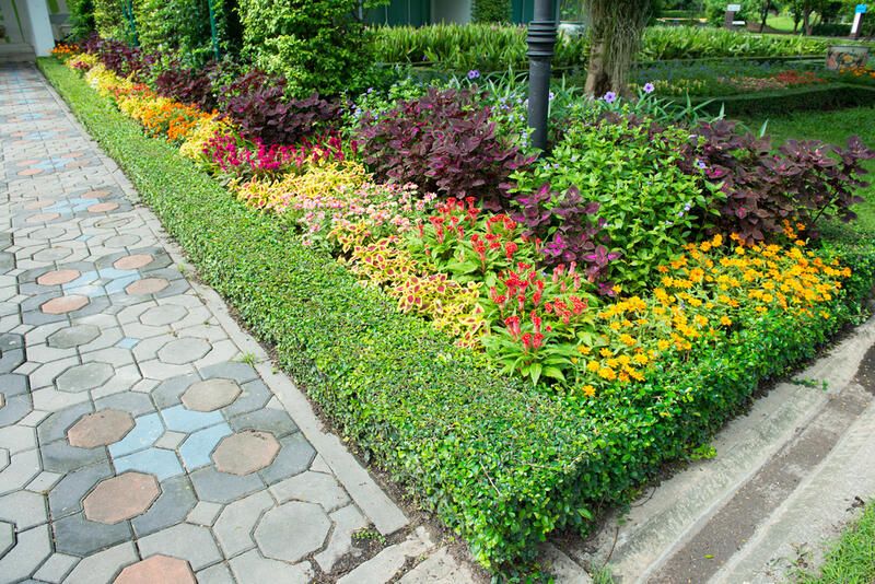 Your One-For-All Curb Appeal Guide - Shrubhub