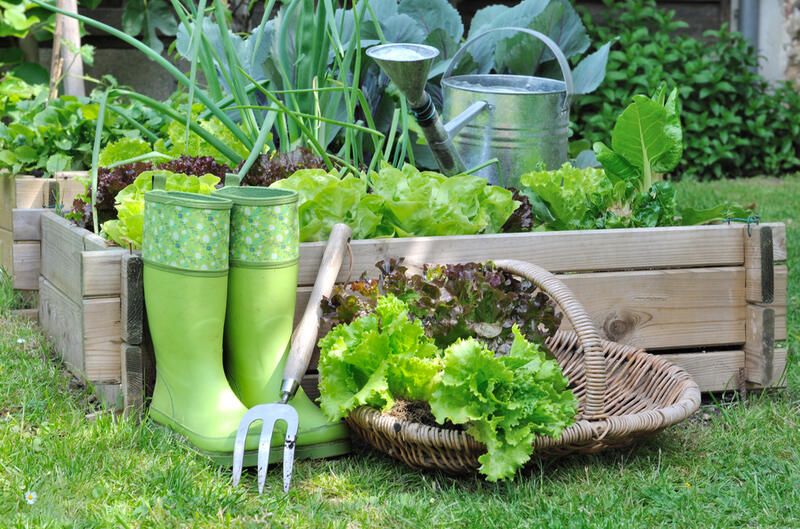 Garden Storage Ideas to Keep Your Outdoor Space Neat - Shrubhub