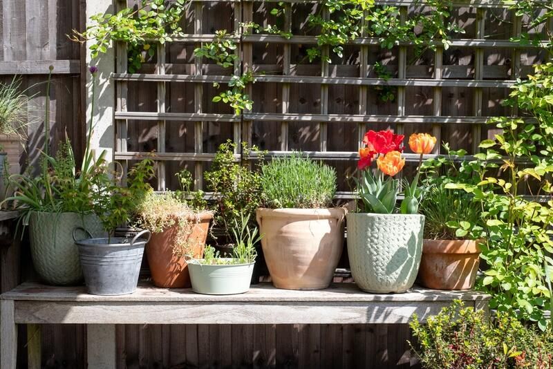 Garden Storage Ideas to Keep Your Outdoor Space Neat - Shrubhub