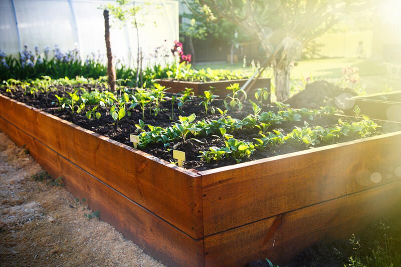 Top 8 Container Garden Ideas for Charming Displays - Shrubhub