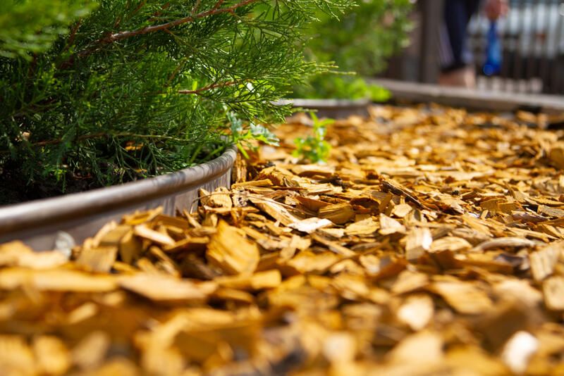 Fall Mulch Pros and Cons: Is It a Holy Grail or an Epic Fail? - Shrubhub