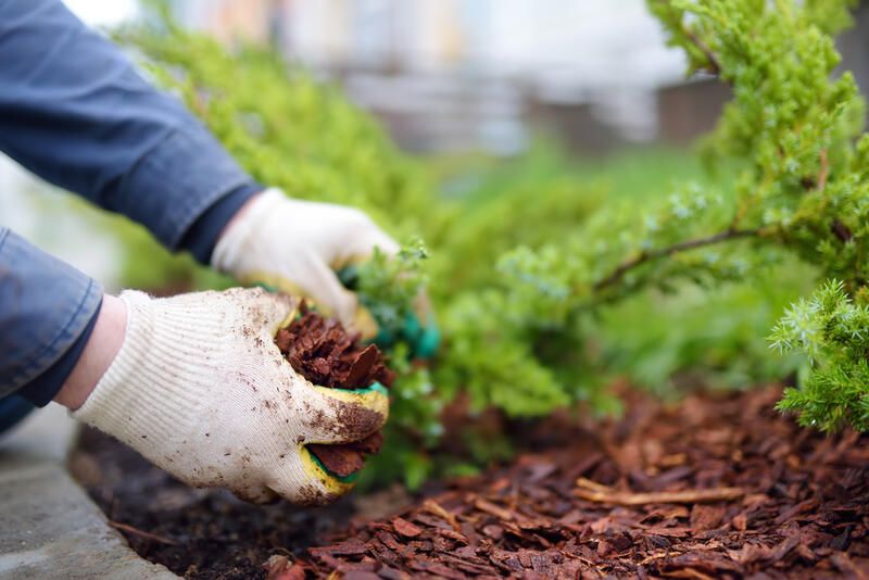 Fall Mulch Pros and Cons: Is It a Holy Grail or an Epic Fail? - Shrubhub