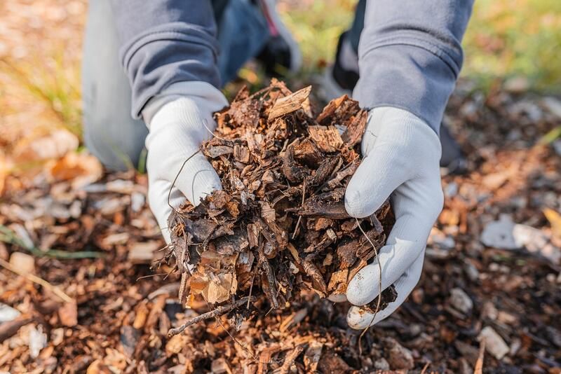 Fall Mulch Pros and Cons: Is It a Holy Grail or an Epic Fail? - Shrubhub