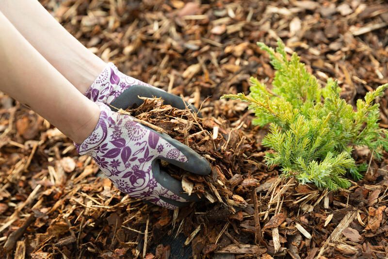 Fall Mulch Pros and Cons: Is It a Holy Grail or an Epic Fail? - Shrubhub