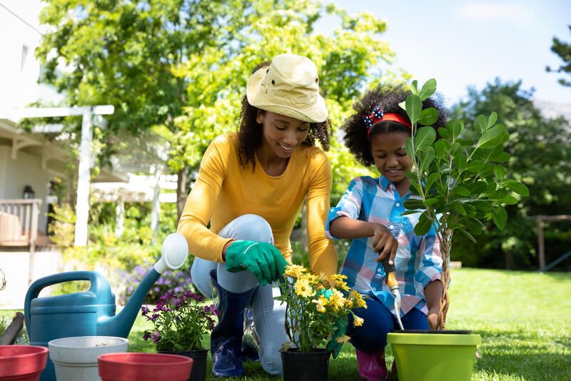 Affordable Garden Ideas for the Budget-Conscious Homeowner - Shrubhub