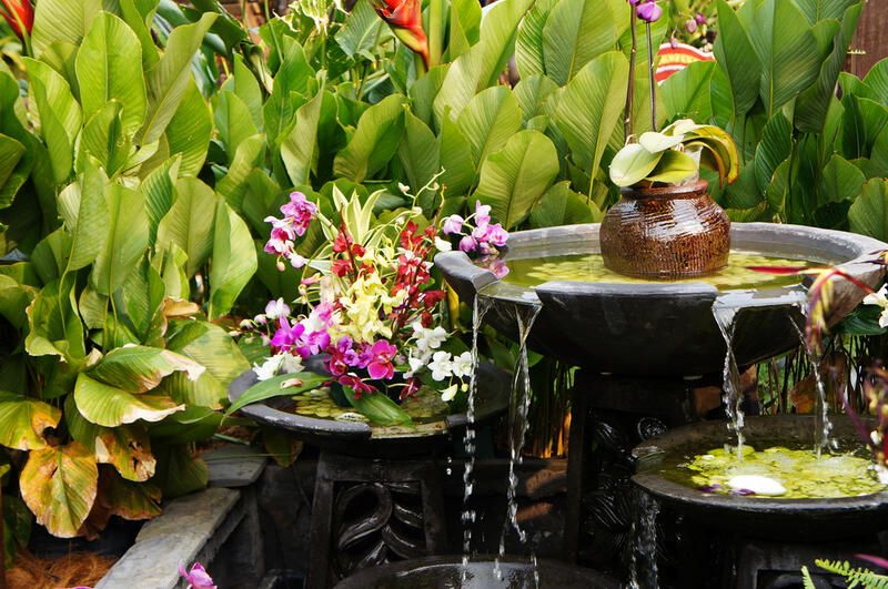 Bring Harmony and Peace to Your House With Outdoor Feng Shui - Shrubhub