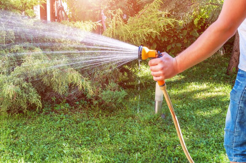 The Ten Best Lawn Care Tips - Shrubhub