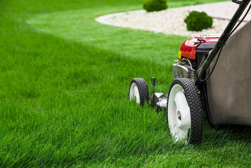 The Ten Best Lawn Care Tips - Shrubhub