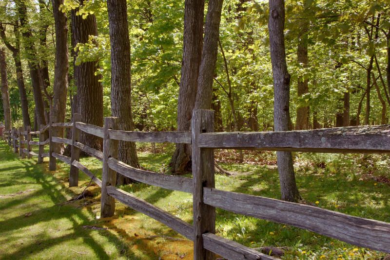 Freshen Up Your Curb Appeal with These Front Yard Fence Ideas - Shrubhub