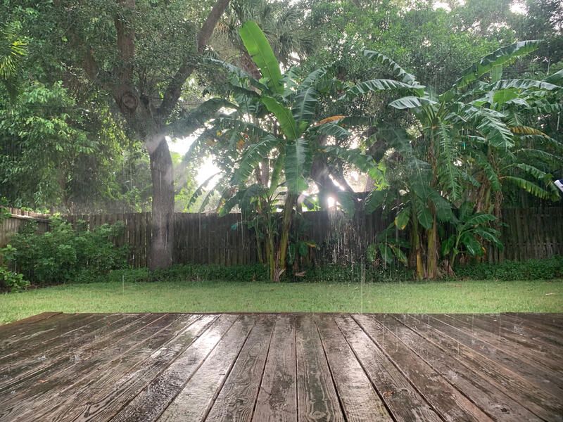 How to Plan the Perfect Rain Garden Design - Shrubhub