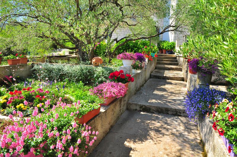 Mediterranean Garden Ideas: Inspiration for a Verdant Oasis  - Shrubhub
