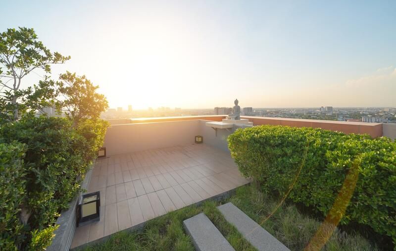 Rooftop Garden Ideas - Ultimate Guide for An Outdoor Space "Facelift" - Shrubhub