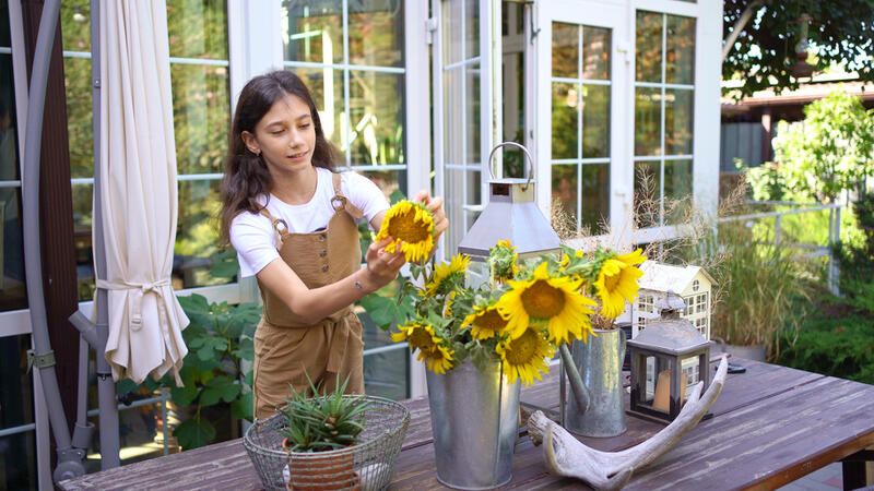 How to Grow Sunflowers: All You Need To Know - Shrubhub