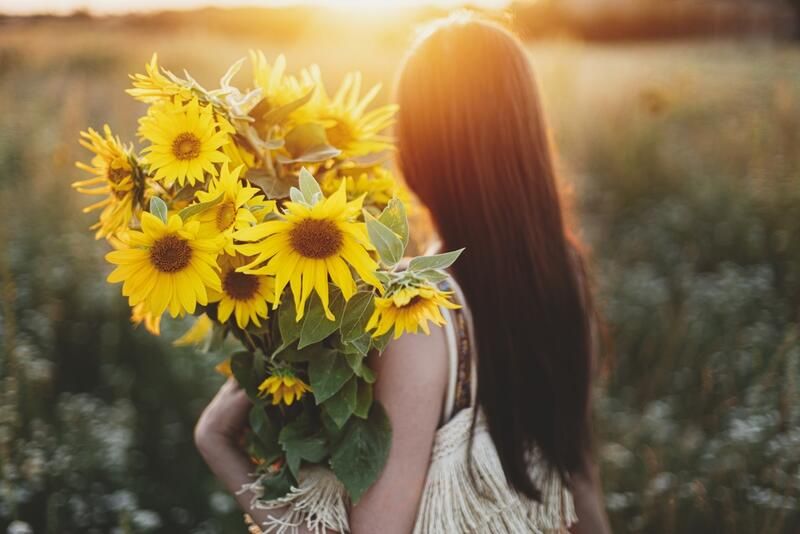 How to Grow Sunflowers: All You Need To Know - Shrubhub