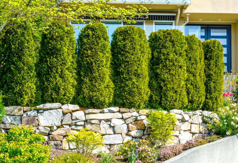 Top Landscape Design Trends For 2023 - Shrubhub