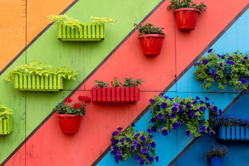 How to Pick the Best Garden Color Schemes - Shrubhub