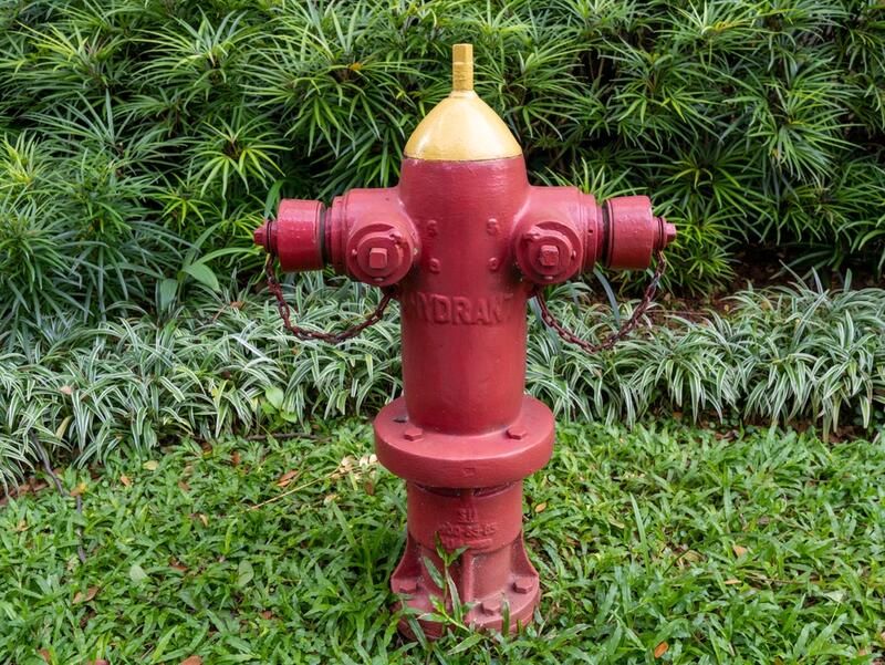 Ensure Safety with These Outdoor Fire Prevention Tips - Shrubhub