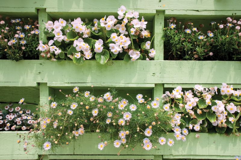 6 Pallet Garden Furniture Ideas to Spruce Up Your Yard - Shrubhub