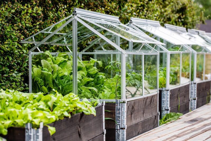 How to Build a Greenhouse in Just 5 Steps