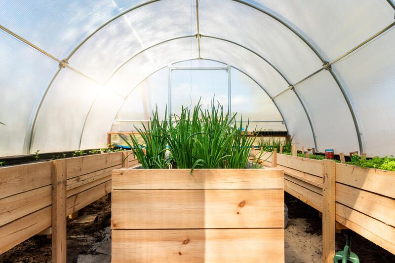 How to Build a Greenhouse in Just 5 Steps - Shrubhub