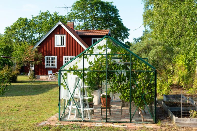 How to Build a Greenhouse in Just 5 Steps - Shrubhub