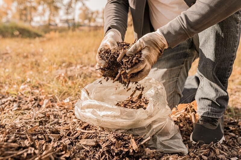 Everything You Need To Do: January Gardening Edition - Shrubhub