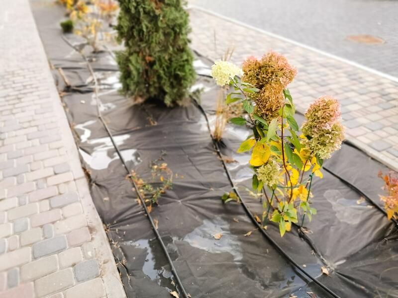The Perfect Plant Covers for Winter - Shrubhub