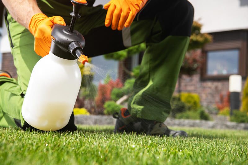 How To Kill Weeds: 20 Effective Ways For Weed Control - Shrubhub