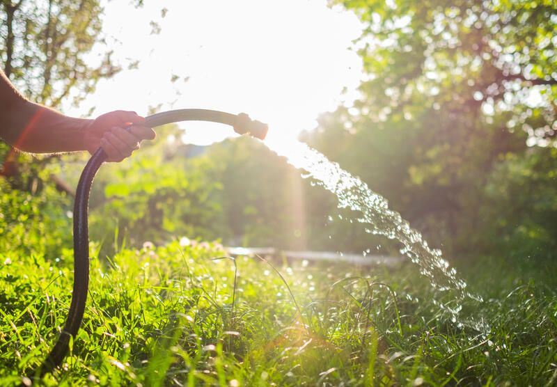 How To Kill Weeds: 20 Effective Ways For Weed Control - Shrubhub