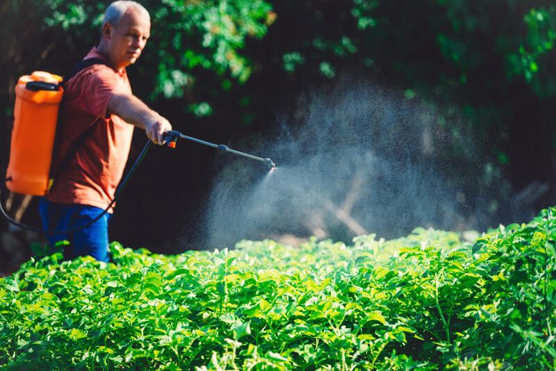 How To Kill Weeds: 20 Effective Ways For Weed Control - Shrubhub