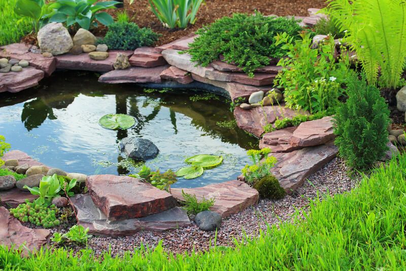 small fish pond design ideas