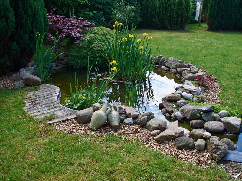 Best Small Pond Ideas for Your Garden - Shrubhub