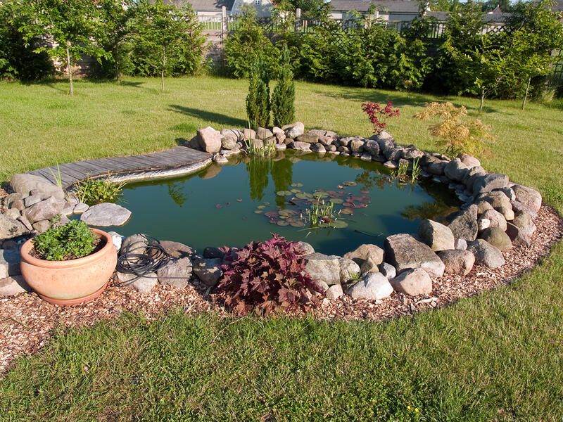 Best Small Pond Ideas for Your Garden - Shrubhub