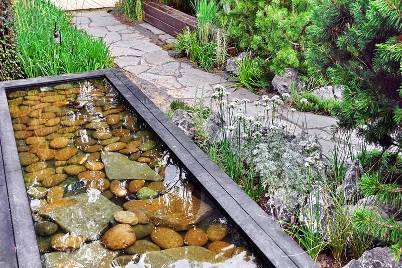 Best Small Pond Ideas for Your Garden - Shrubhub