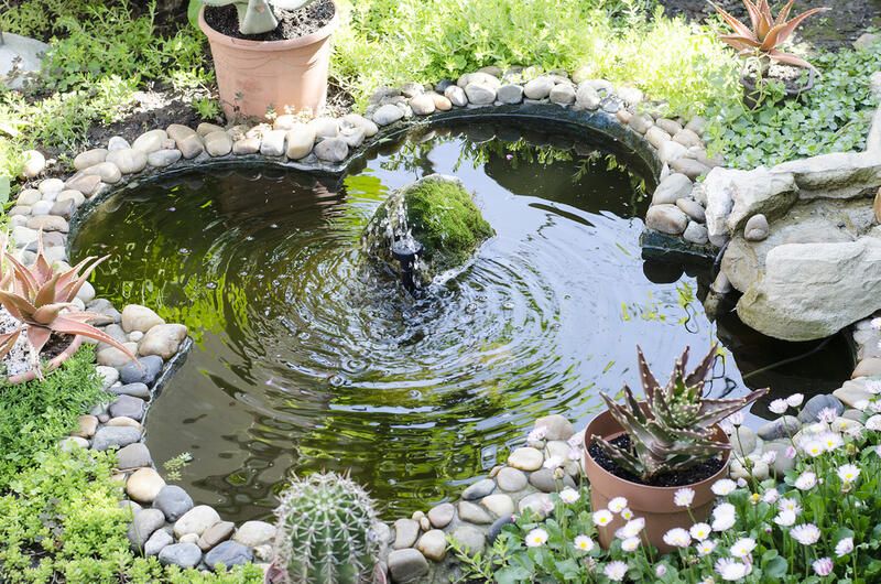 Best Small Pond Ideas for Your Garden - Shrubhub